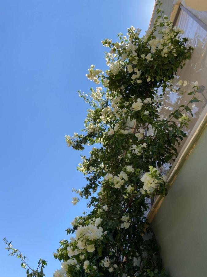 Simple Home マダバ エクステリア 写真